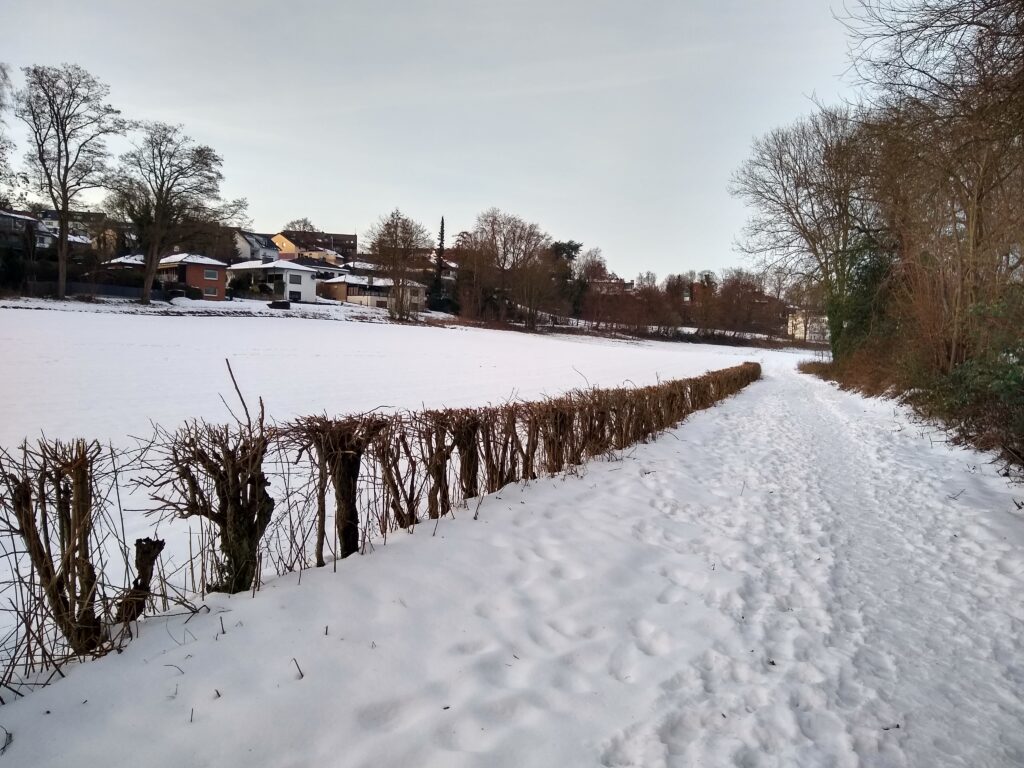 雪野原を歩く